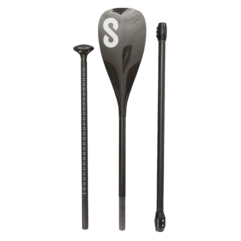 Electric SUP CF Paddle Set 1-1
