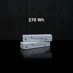 E-SUP Battery medium 270